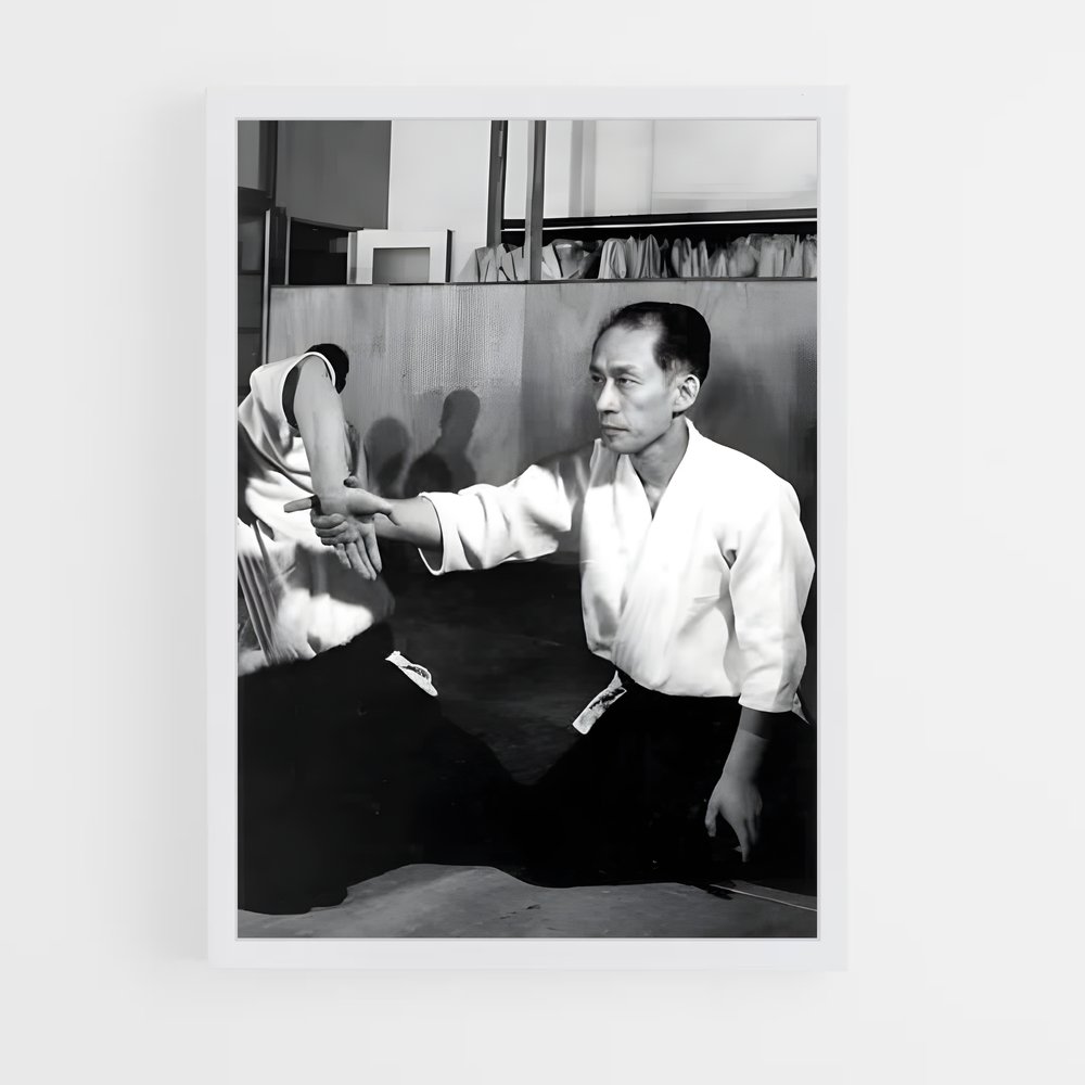 Poster Arts Martiaux: L'Alliance – affiche Aikido (vue 3)